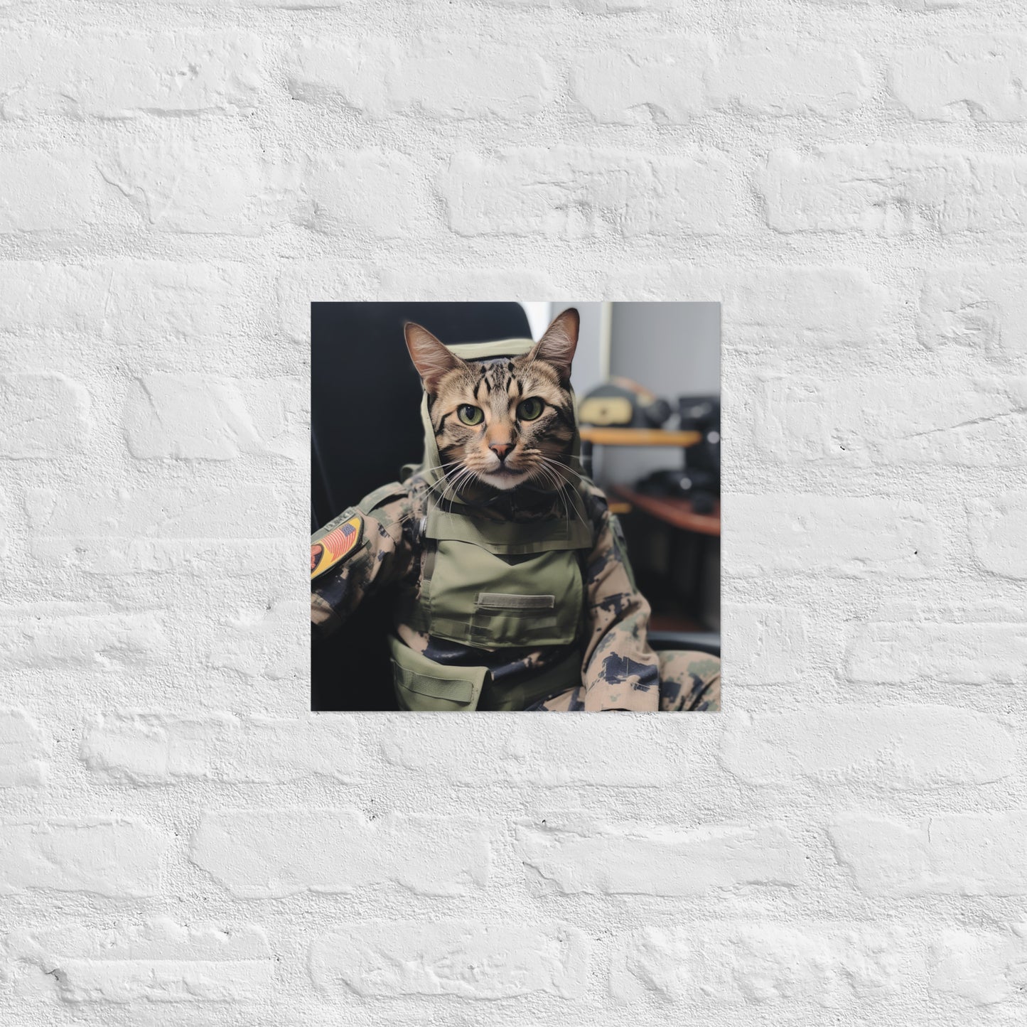 Domestic Shorthair Military Person Poster