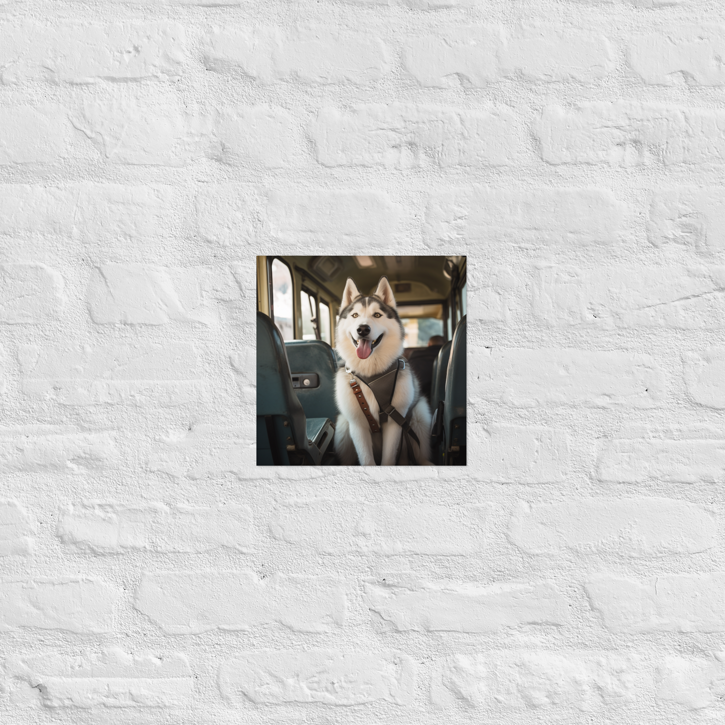 Siberian Husky Bus Driver Poster