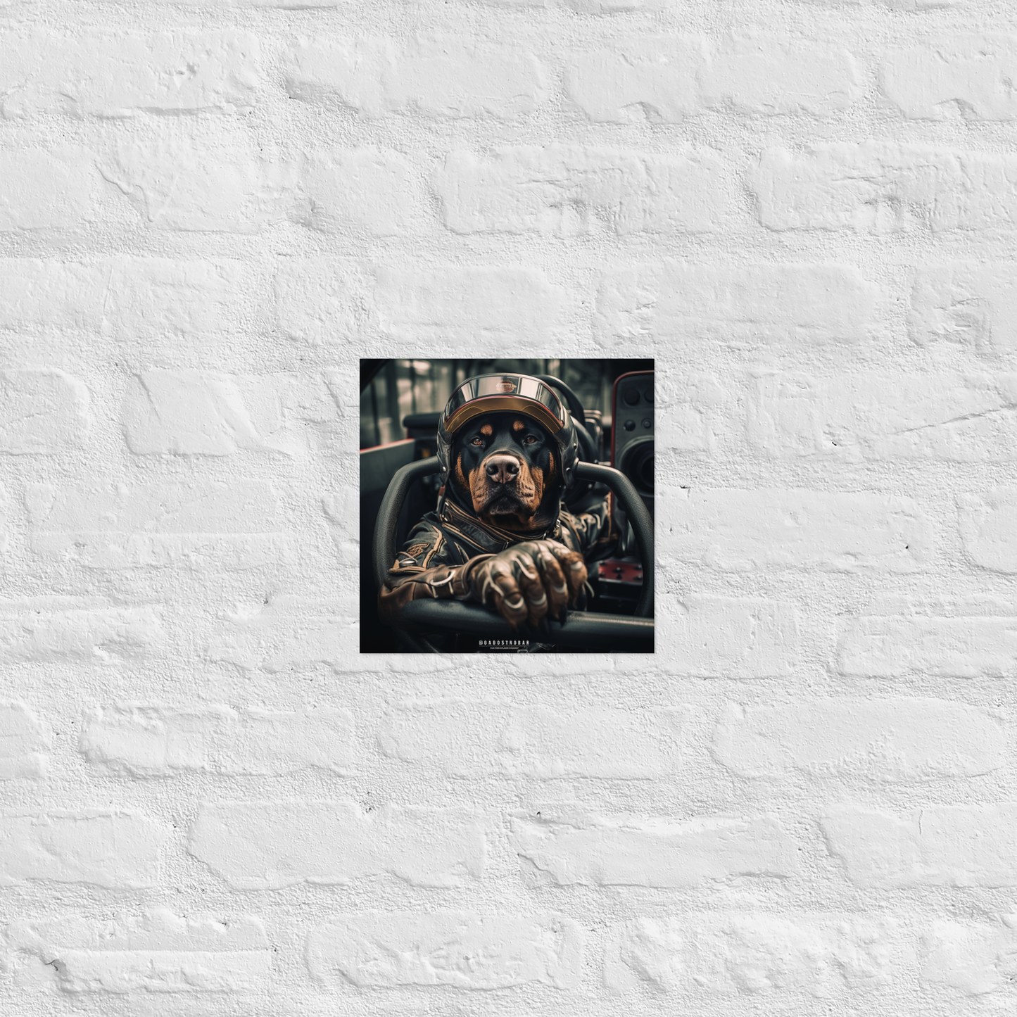 Rottweiler Air Force Officer Poster