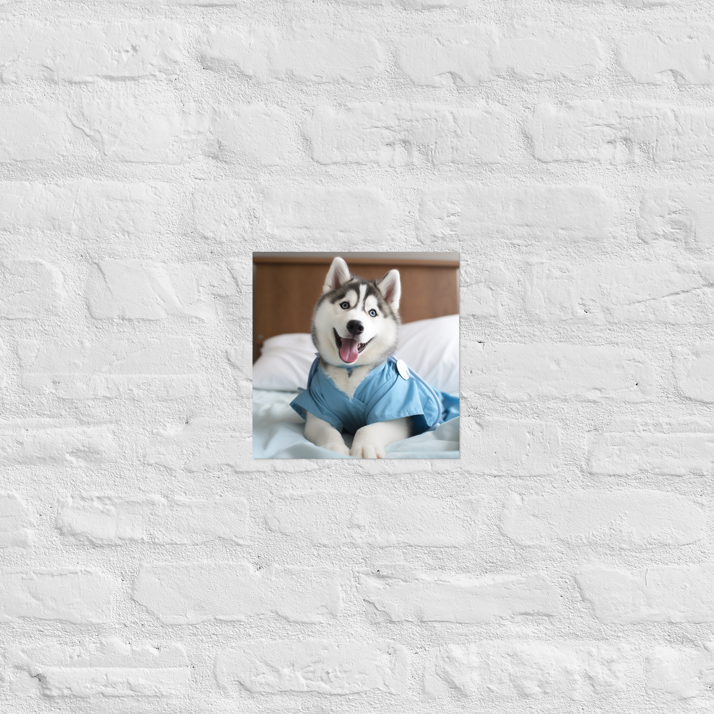 Siberian Husky Nurse Poster