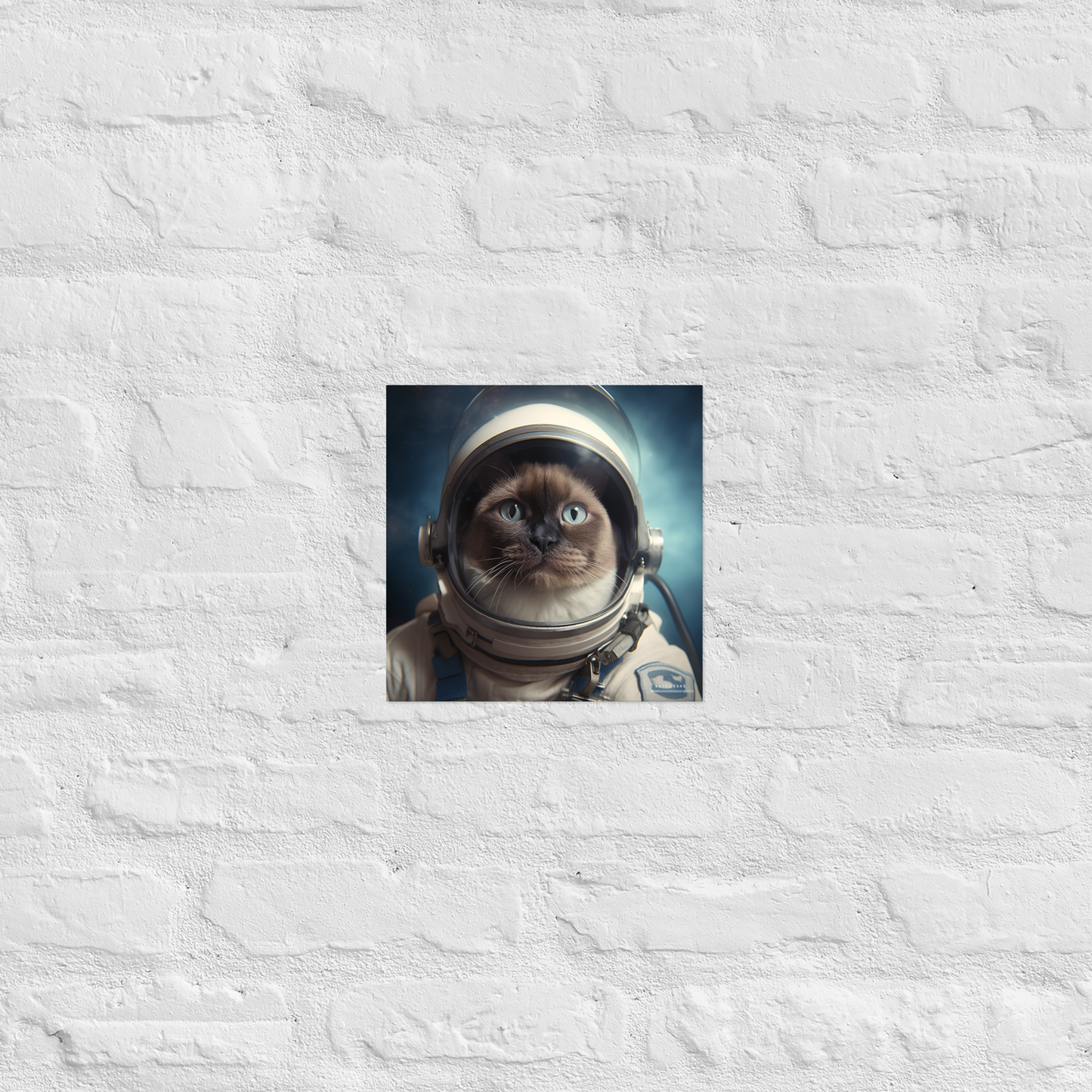 Siamese Astronaut Poster