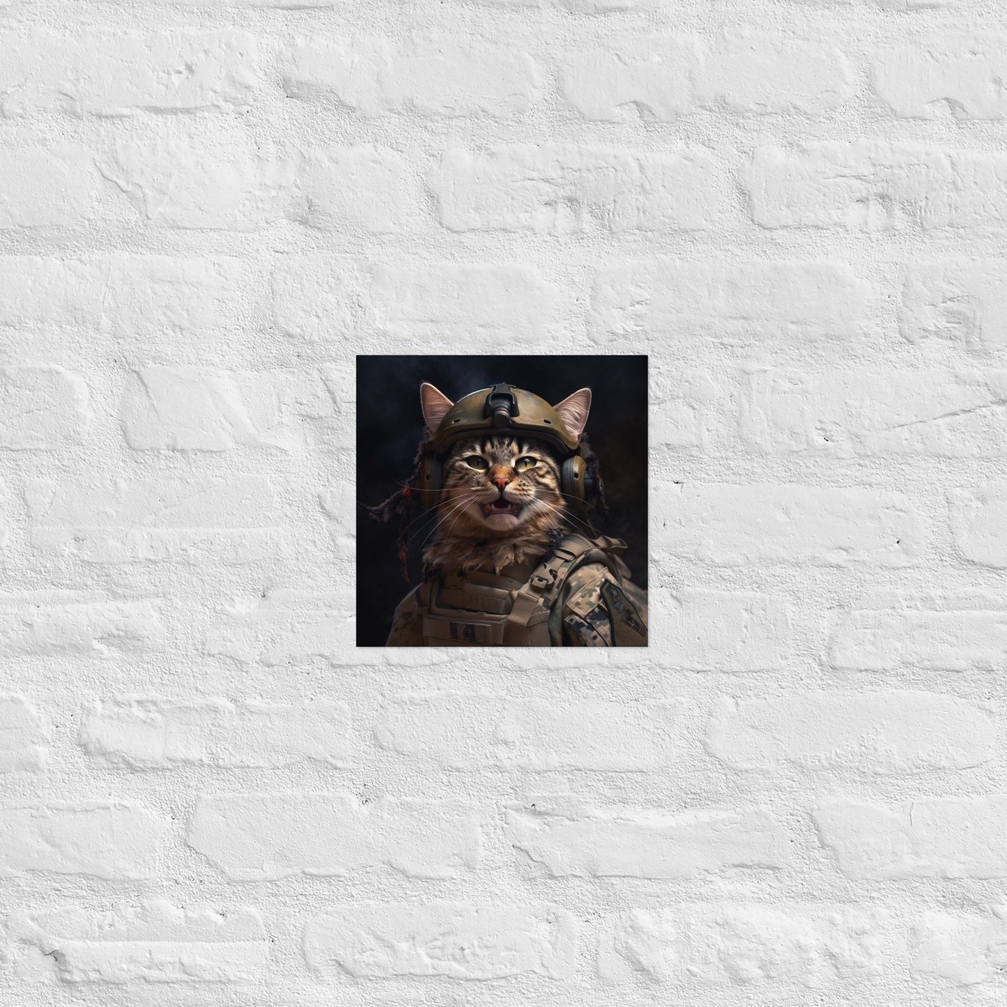 Maine Coon Military Person Poster