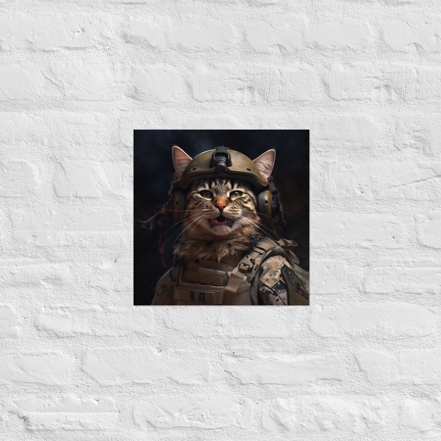 Maine Coon Military Person Poster