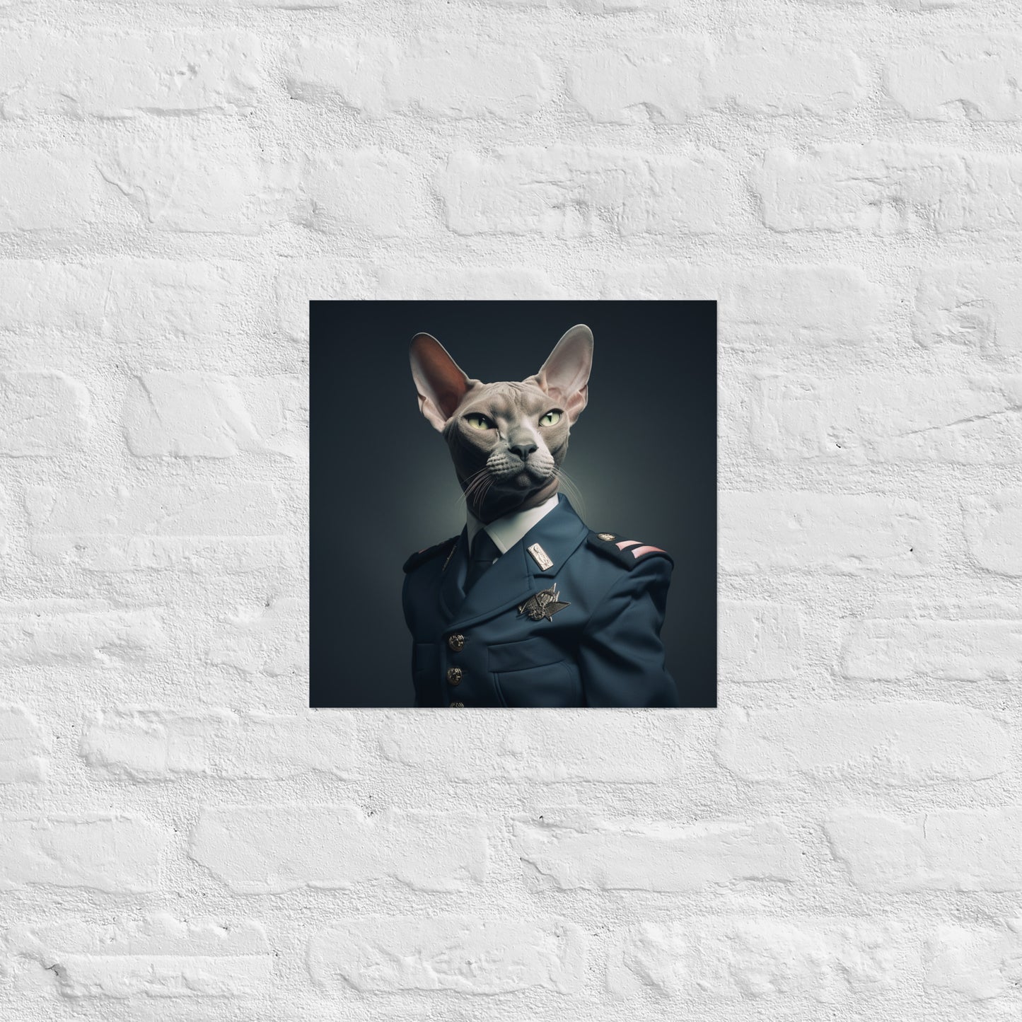 Sphynx Air Force Officer Poster