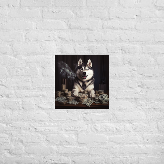Siberian Husky Millionaire Poster