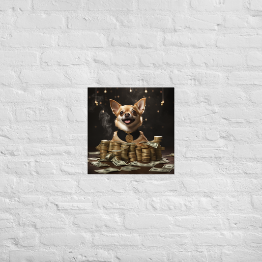 Chihuahua Millionaire Poster