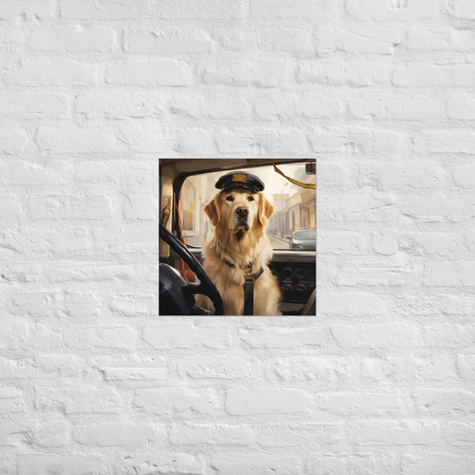 Golden Retriever Bus Driver Poster