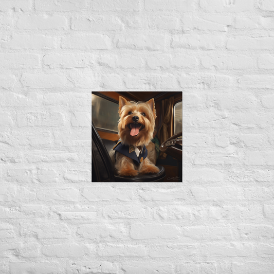 Yorkshire Terrier Bus Driver Poster