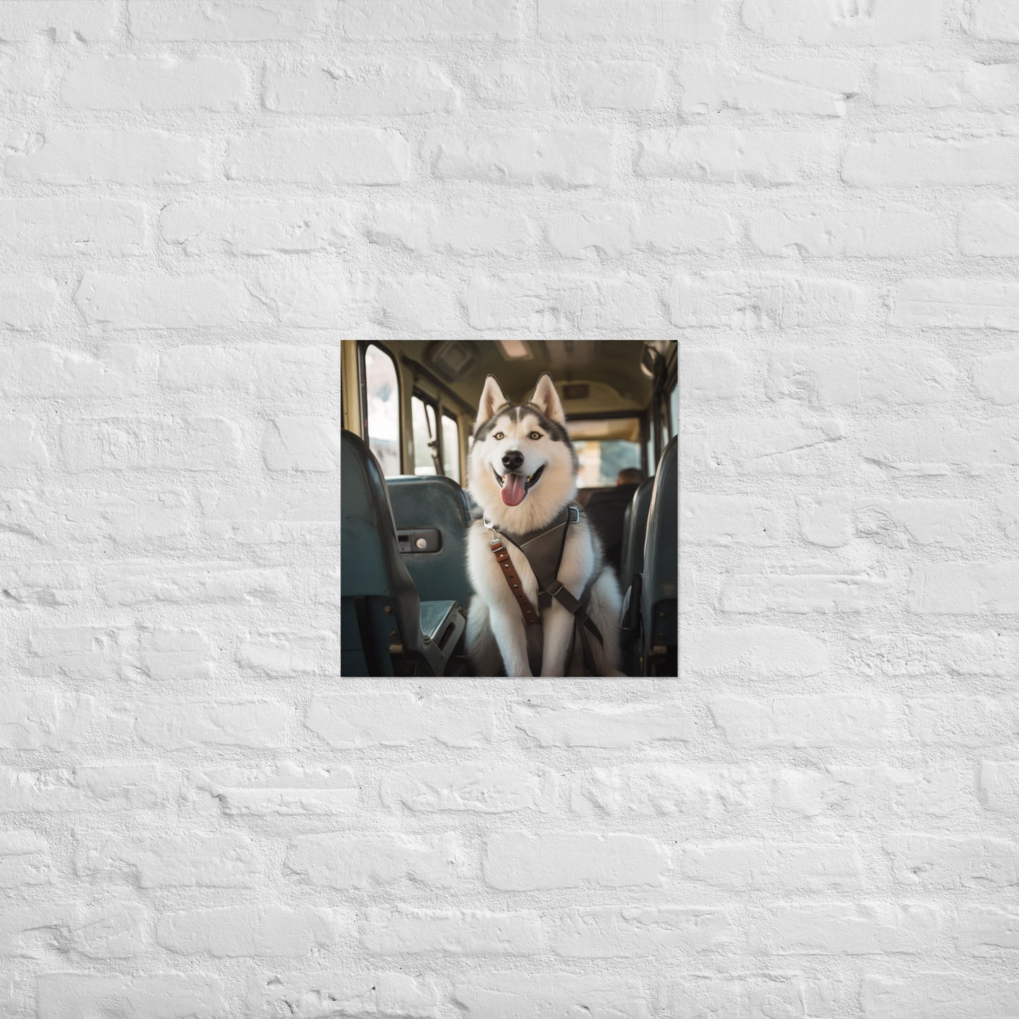 Siberian Husky Bus Driver Poster