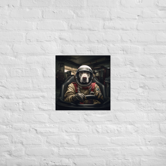 Labrador Retriever F1 Car Driver Poster