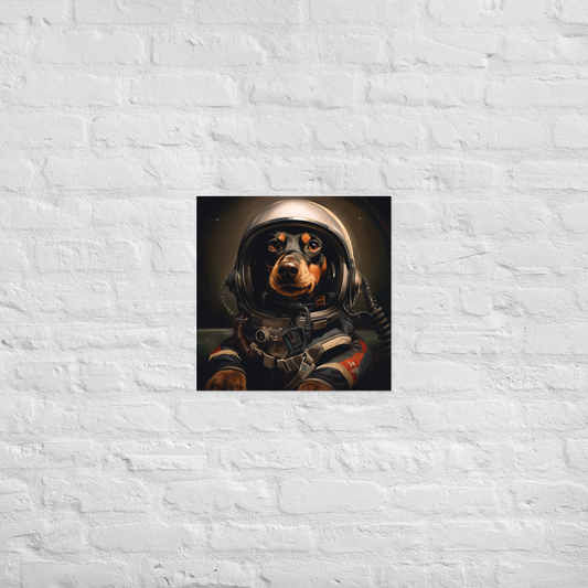 Dachshund F1 Car Driver Poster