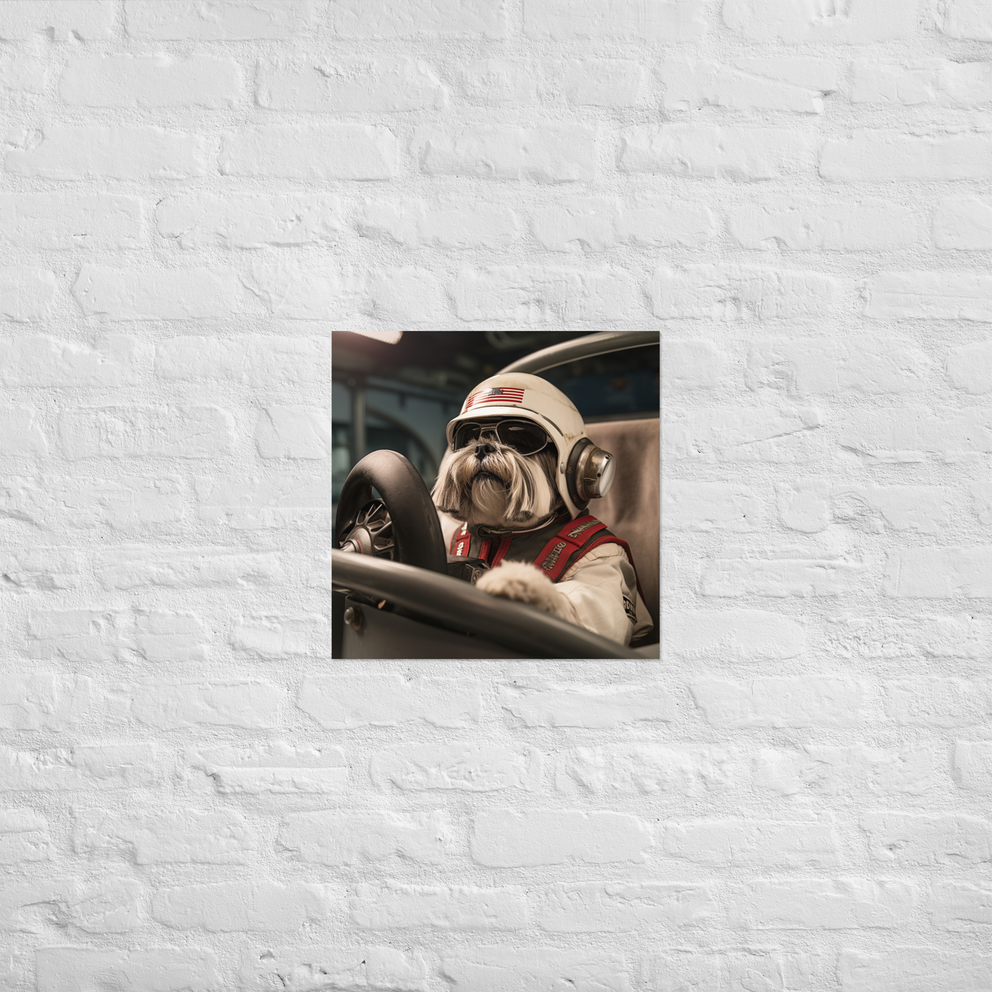 Shih Tzu F1 Car Driver Poster