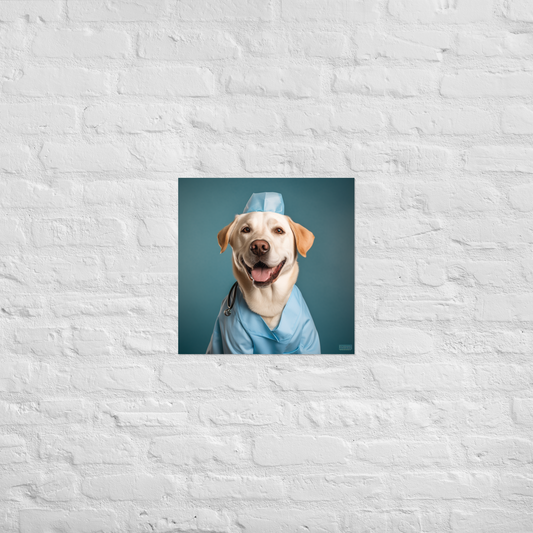Labrador Retriever Nurse Poster