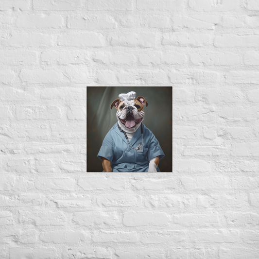 Bulldog Nurse Poster