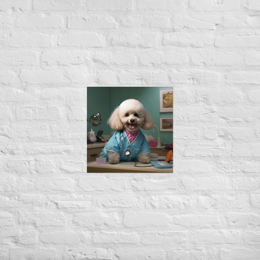 Poodle Nurse Poster