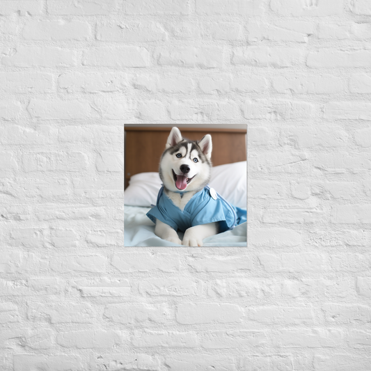 Siberian Husky Nurse Poster