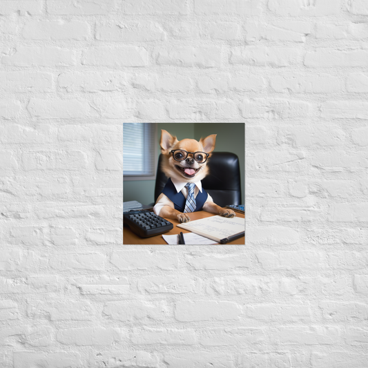 Chihuahua Accountant Poster