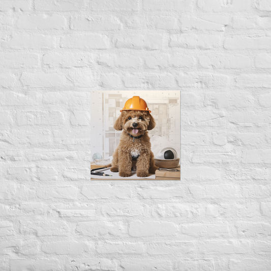 Poodle Architect Poster