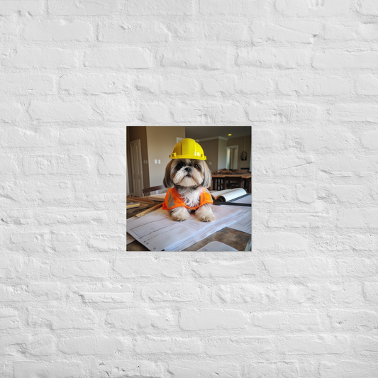 Shih Tzu Architect Poster