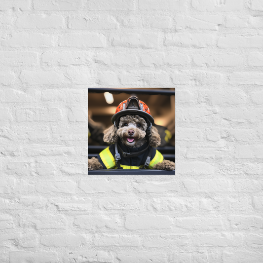 Poodle Firefighter Poster