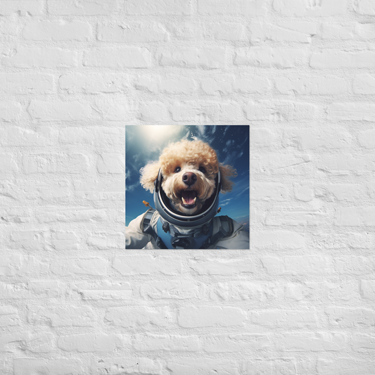 Poodle Astronaut Poster