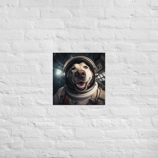 Labrador Retriever Astronaut Poster