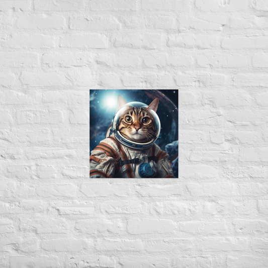 Domestic Shorthair Astronaut Poster