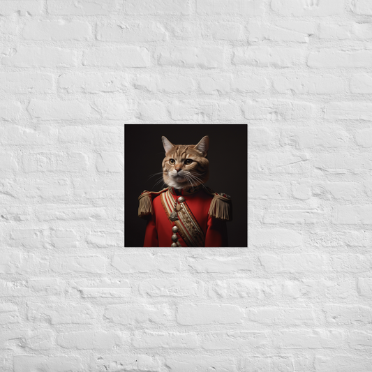 Domestic Shorthair BritishRoyalGuard Poster