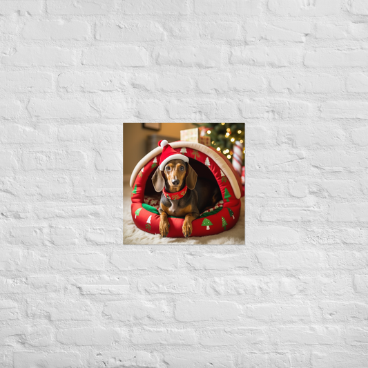 Dachshund Christmas Poster