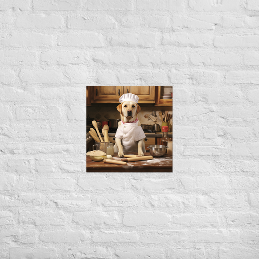 Labrador Retriever Chef Poster