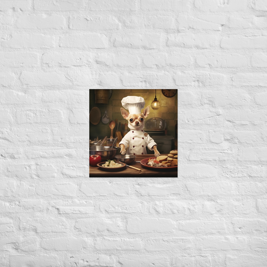 Chihuahua Chef Poster