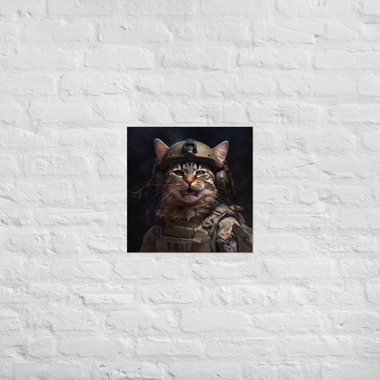 Maine Coon Military Person Poster