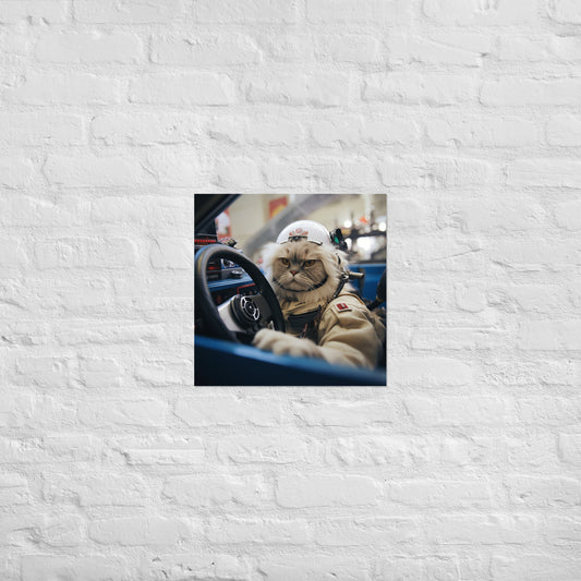 Persian F1 Car Driver Poster
