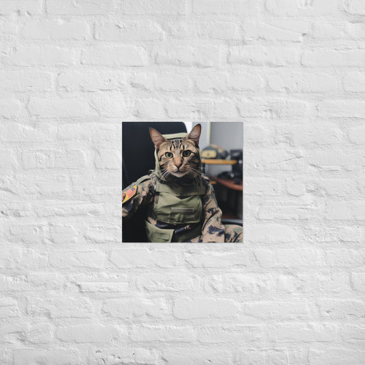 Domestic Shorthair Military Person Poster