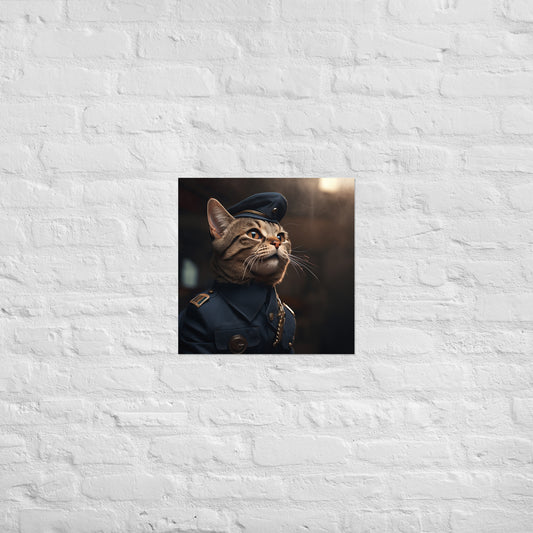 Domestic Shorthair Air Force Officer Poster