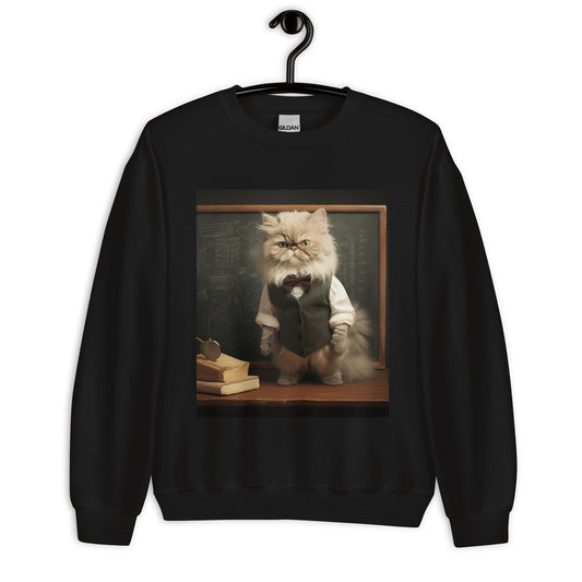 Persian Teacher Unisex Sweatshirt