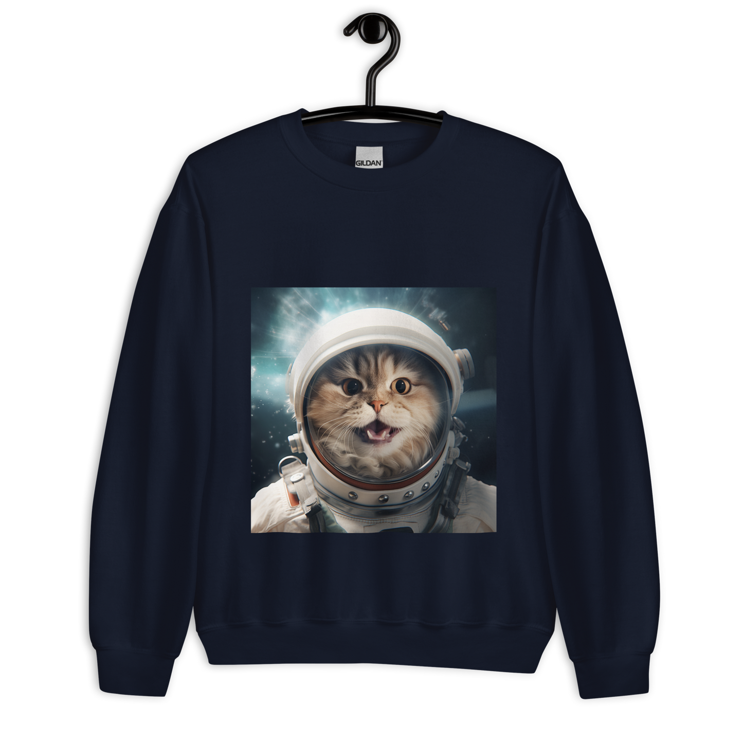 Persian Astronaut Unisex Sweatshirt