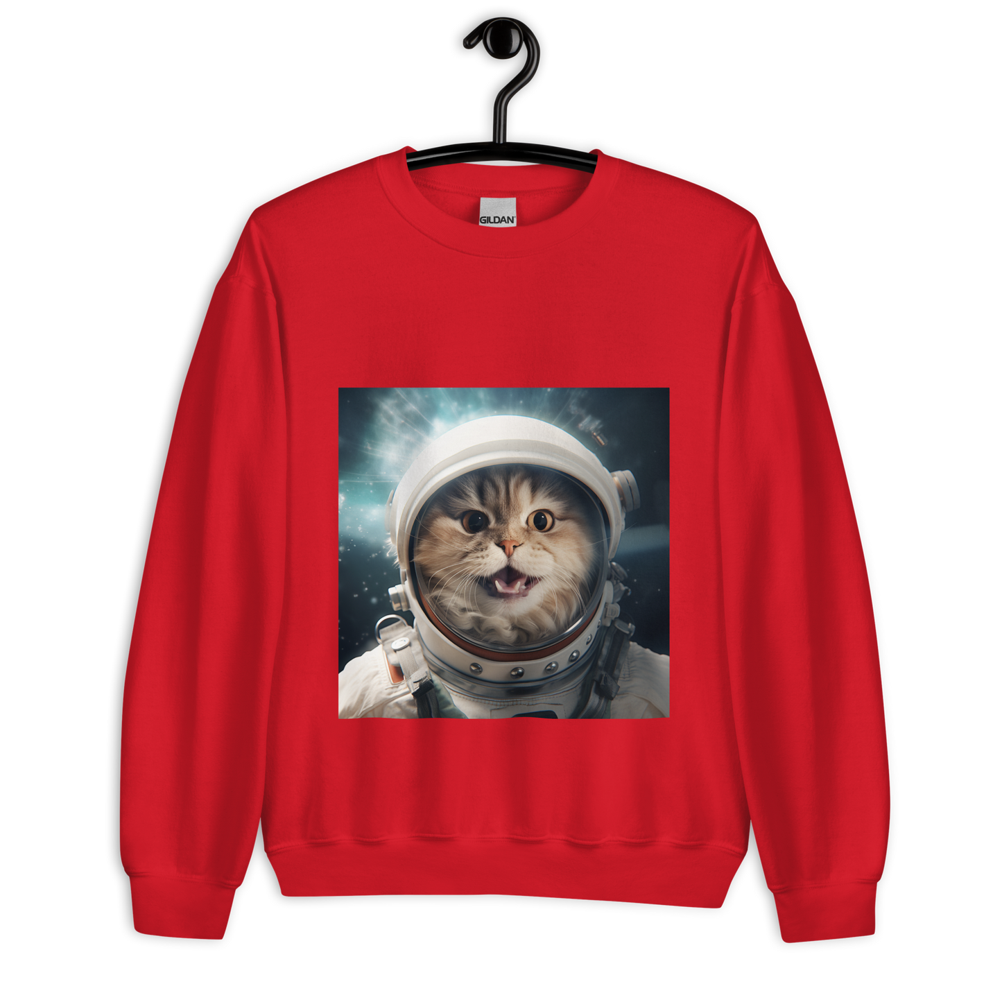 Persian Astronaut Unisex Sweatshirt