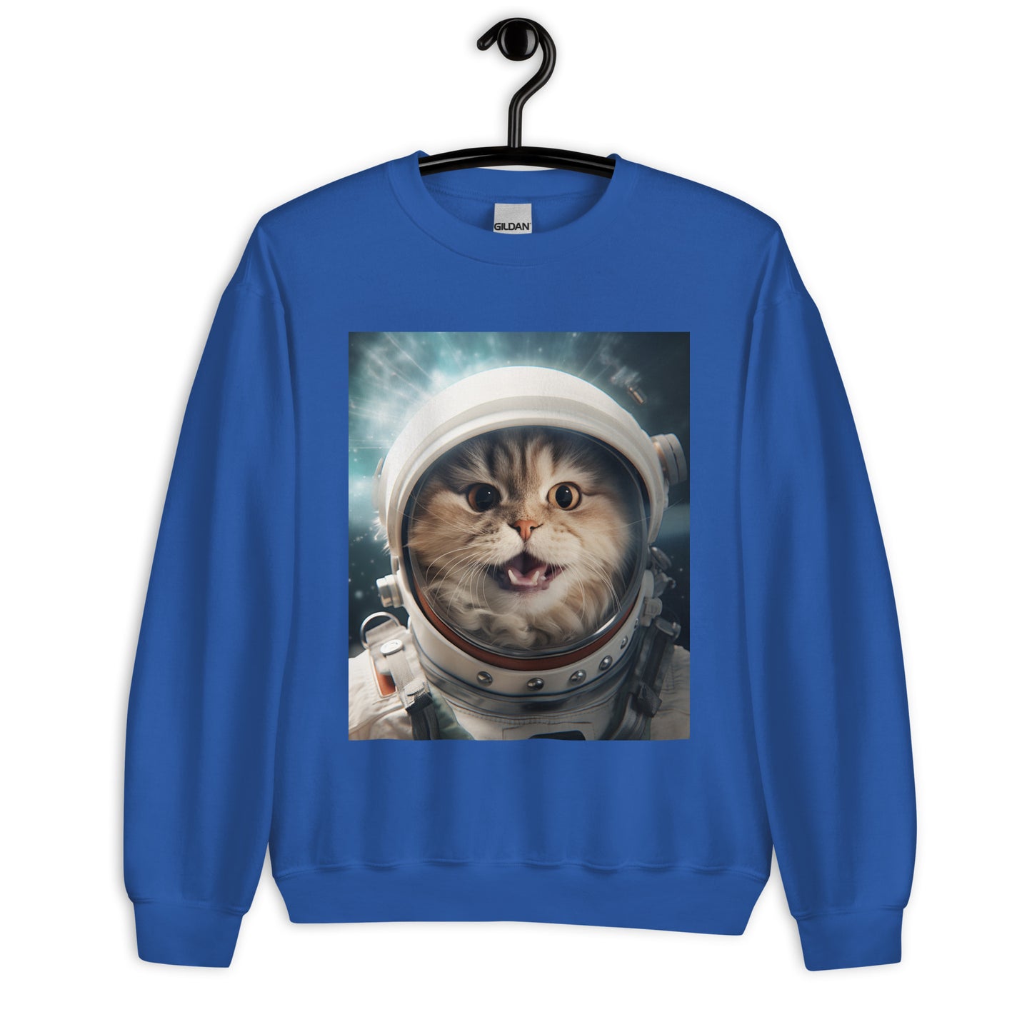 Persian Astronaut Unisex Sweatshirt