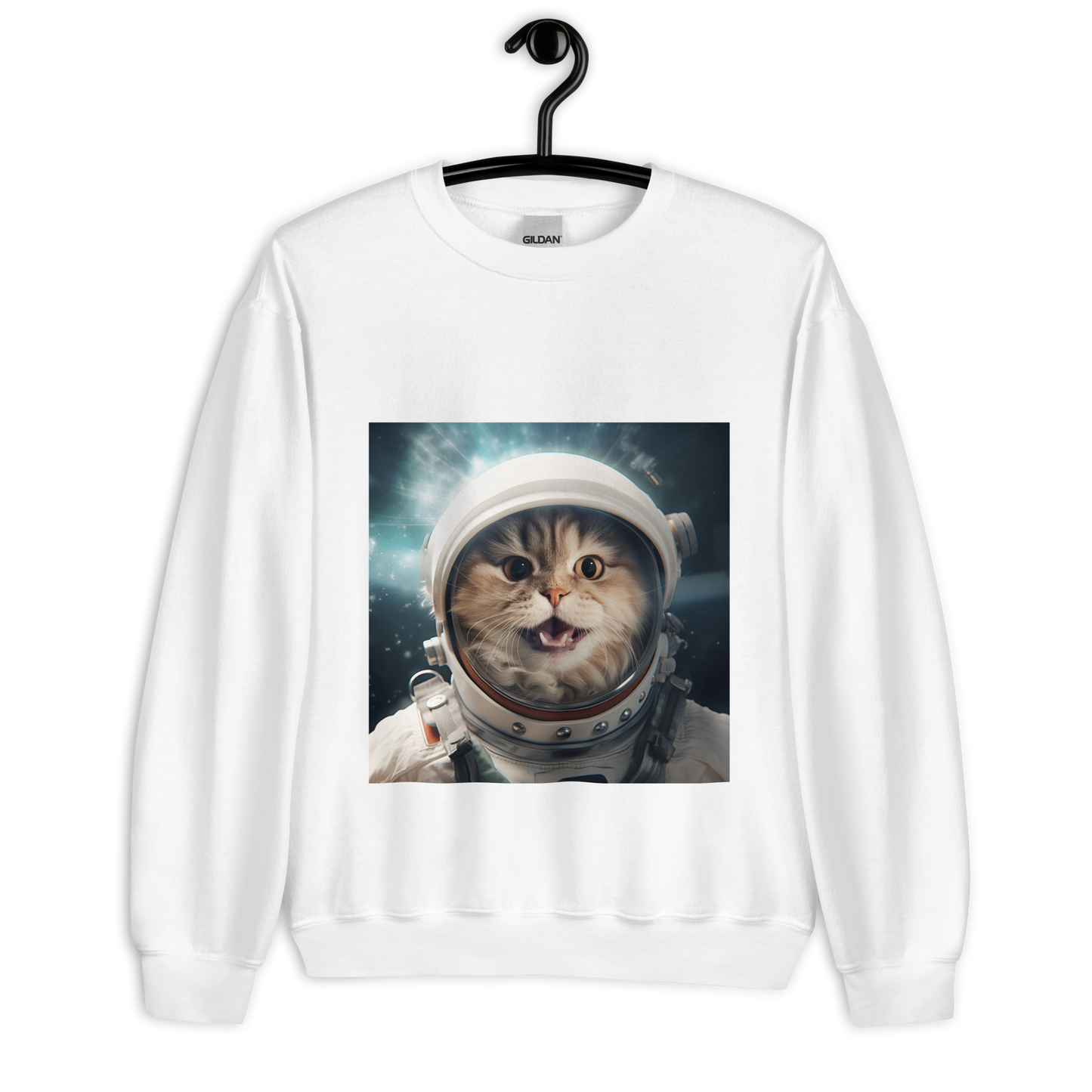 Persian Astronaut Unisex Sweatshirt