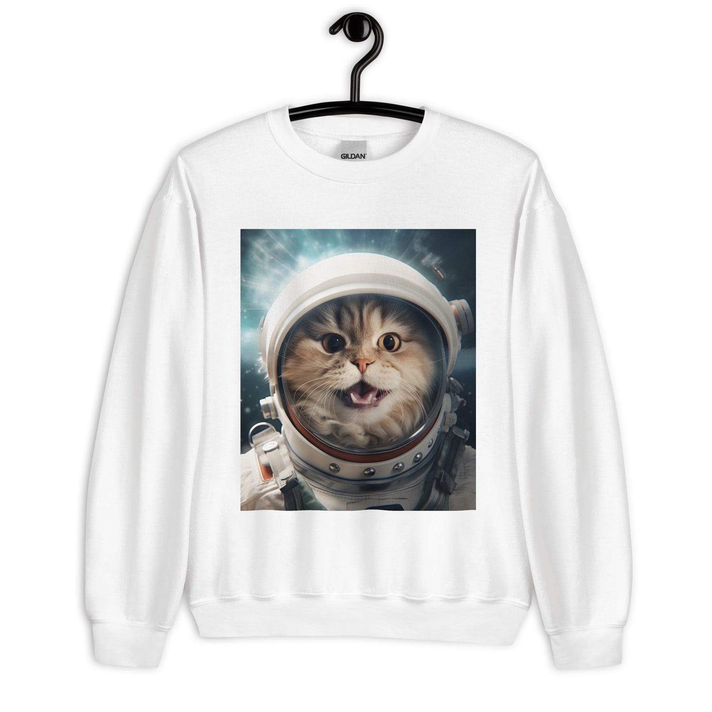 Persian Astronaut Unisex Sweatshirt