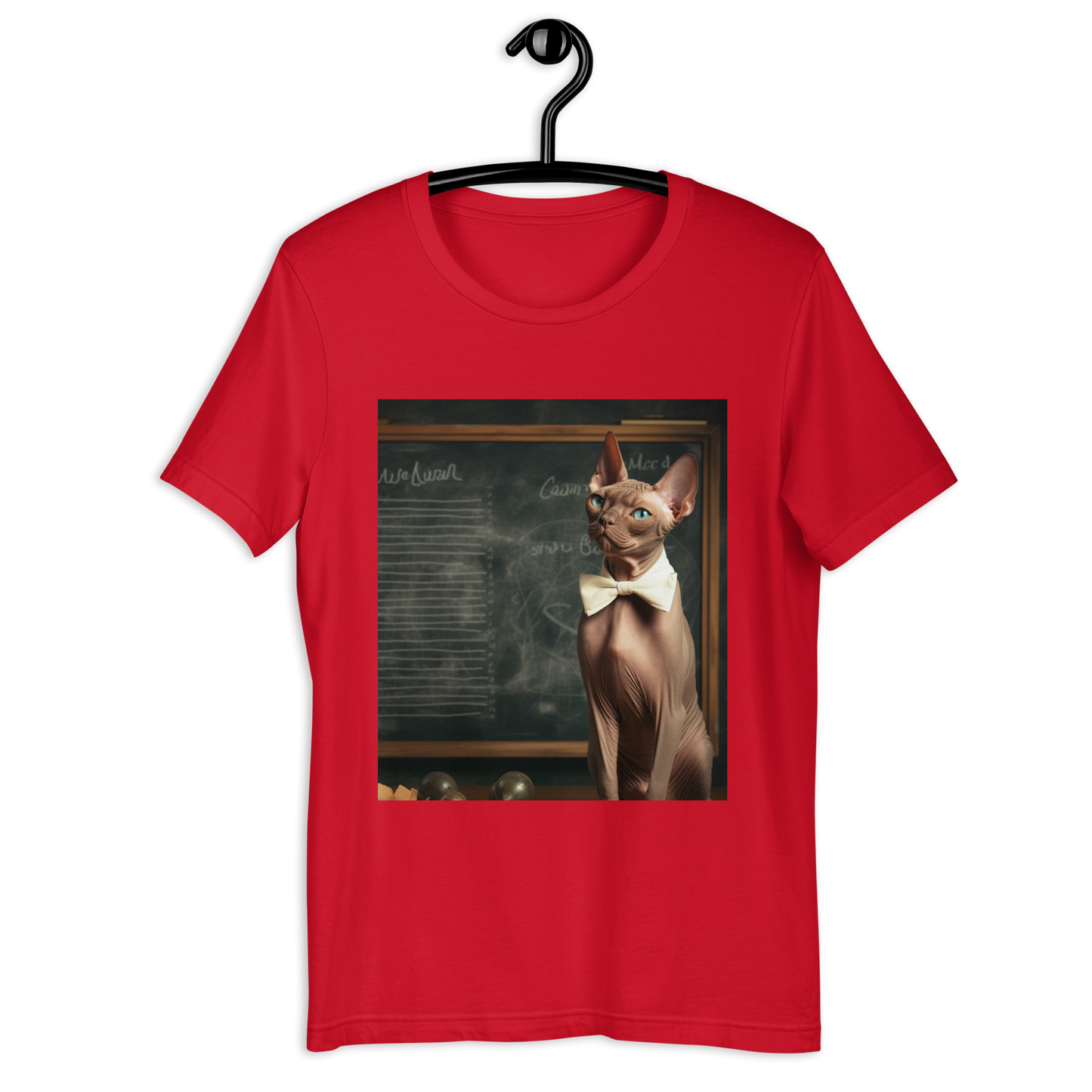 Sphynx Teacher Unisex t-shirt