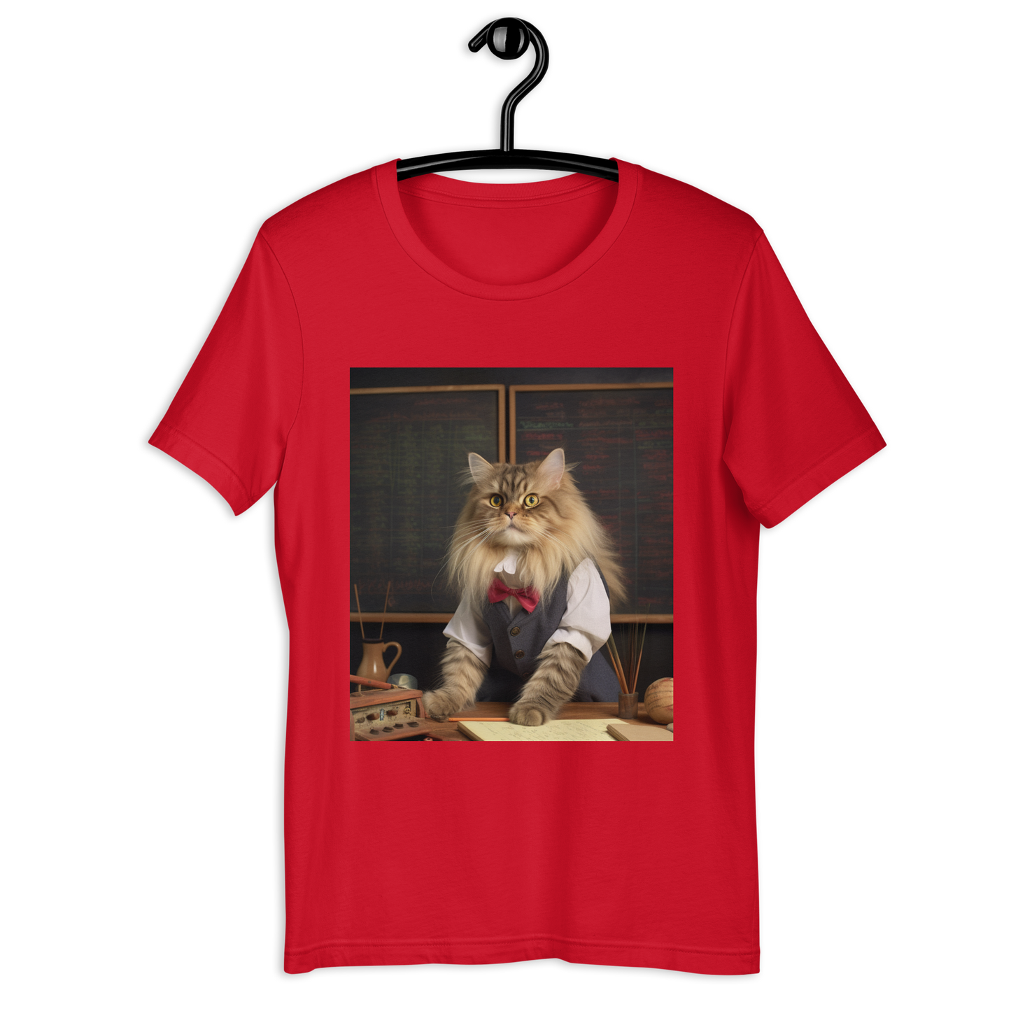 Maine Coon Teacher Unisex t-shirt