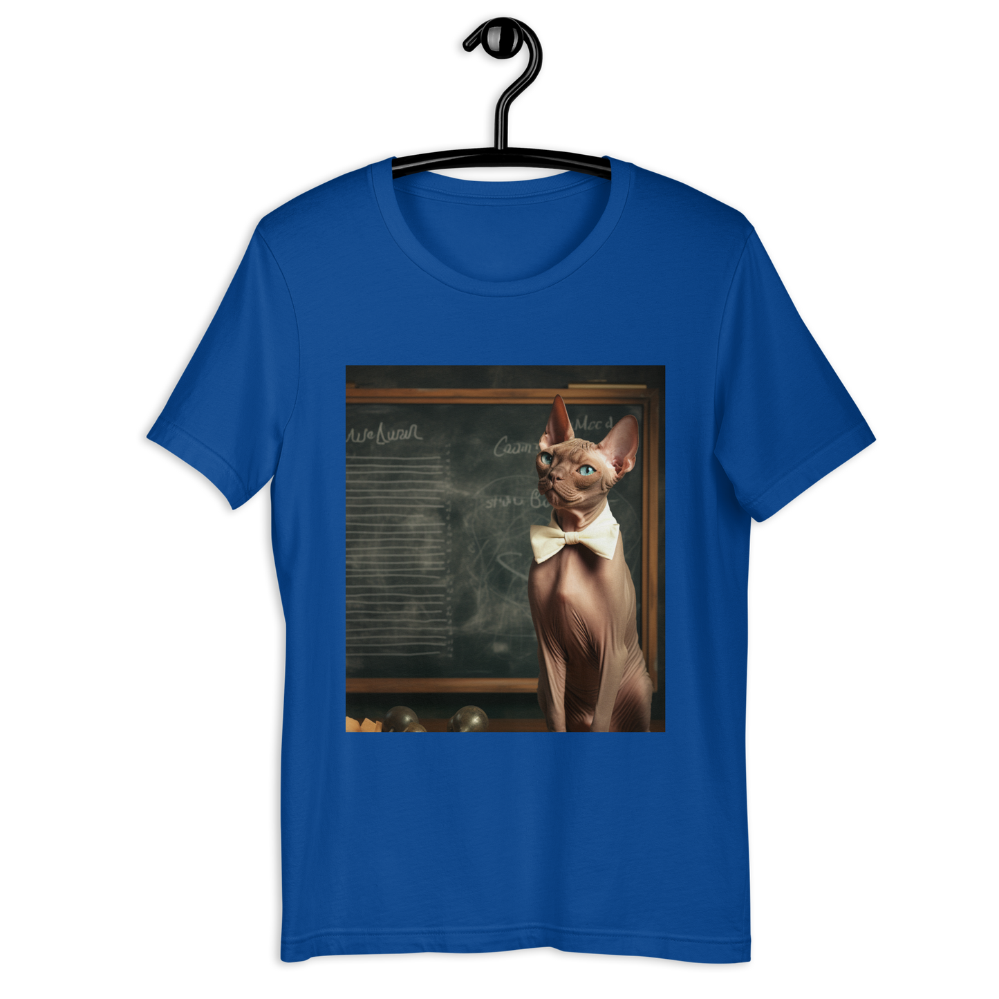 Sphynx Teacher Unisex t-shirt