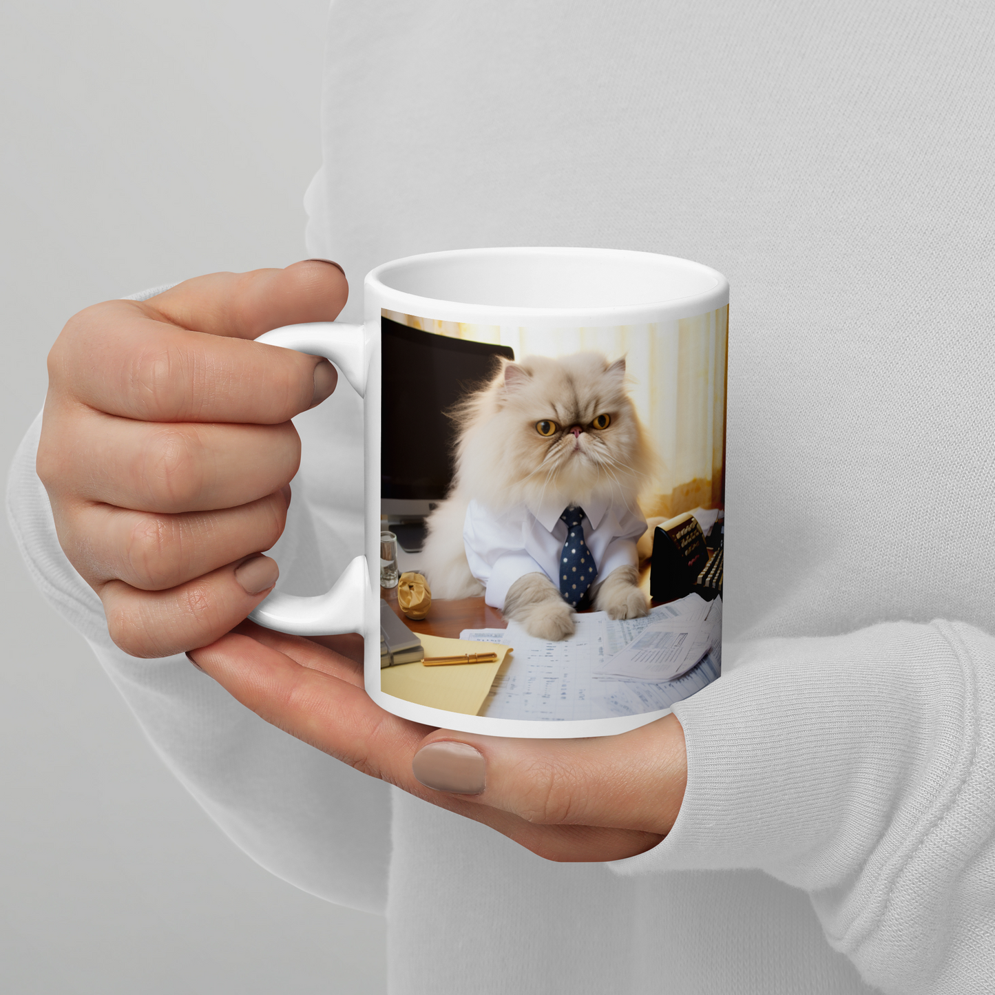 Persian Accountant White glossy mug